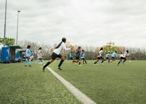 表现显著提 表现显著提