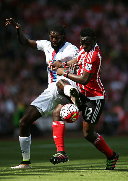 这种强韧的 这种强韧的